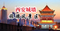男的超长鸡巴插入女的逼里视频免费观看中国陕西-西安城墙旅游风景区