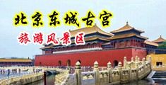 后入15p中国北京-东城古宫旅游风景区